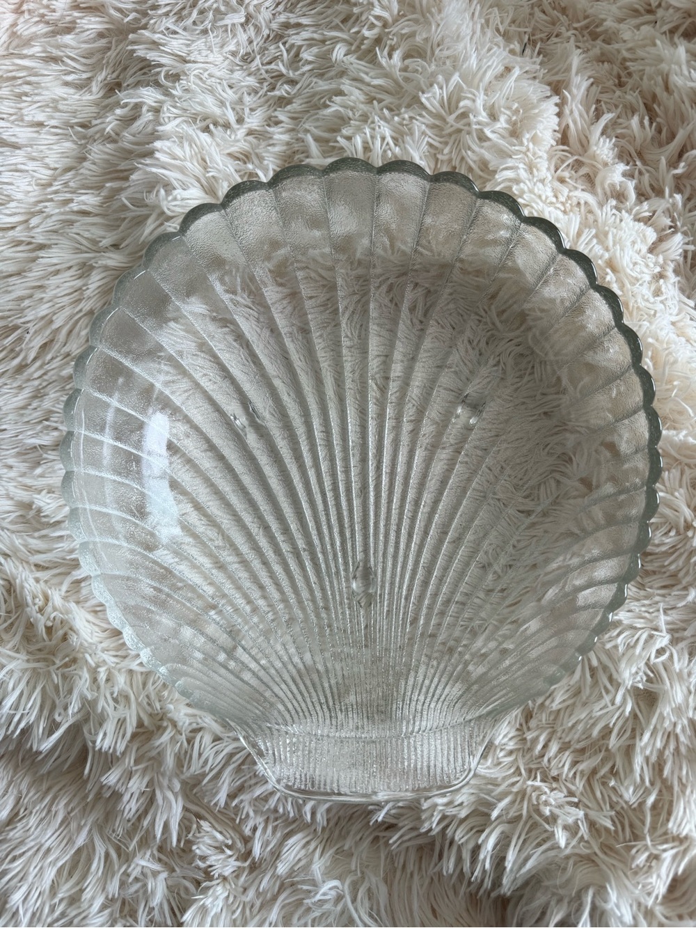 Large Frosted Glass Seashell Bowl Coastal Beach Decor Nautical Heavy 11.5”